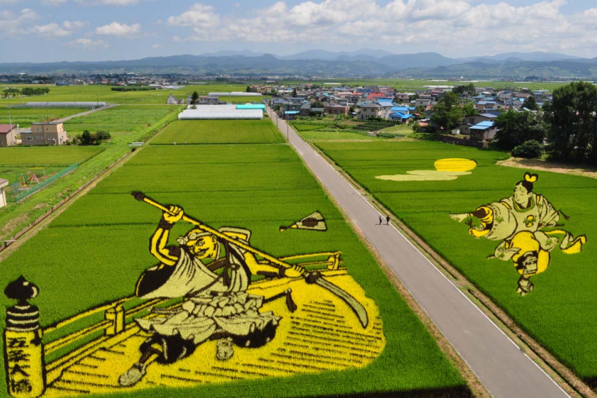 Làng lúa thần kỳ Nhật Bản: Từ nghèo nhất đến nổi tiếng khắp cả nước, nhờ biến ruộng lúa thành tranh sinh động